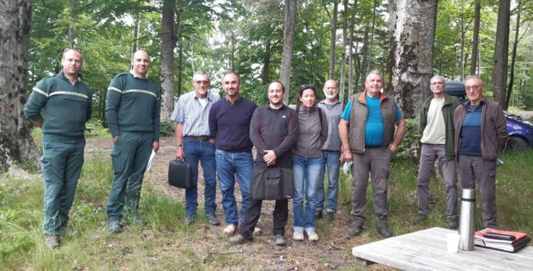 Pays de la vallée de l'Agly/ Les élus en ordre de marche pour dynamiser la filière bois locale