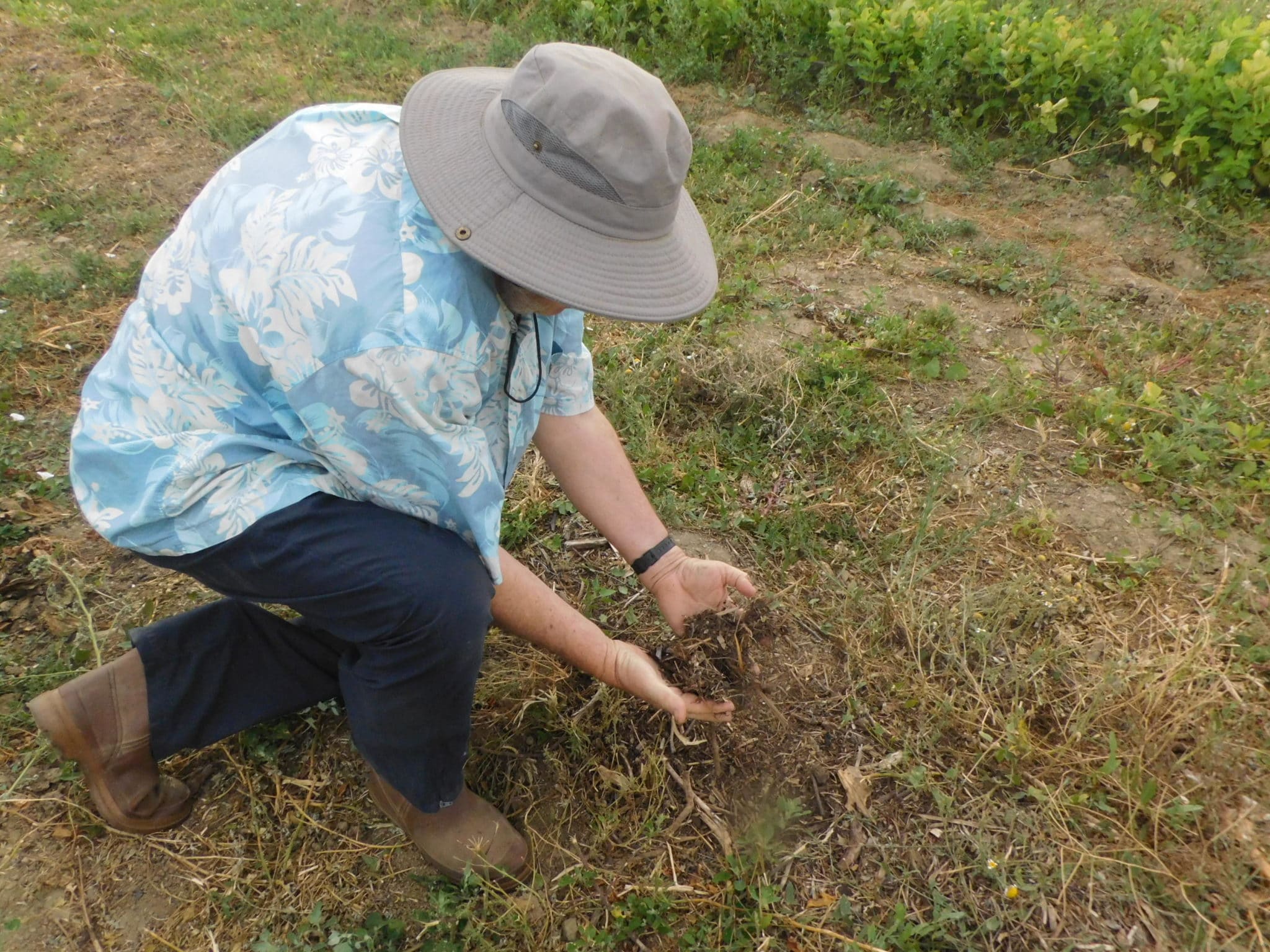Estagel/ Une exploitation en permaculture : Robert Davy à la manoeuvre.