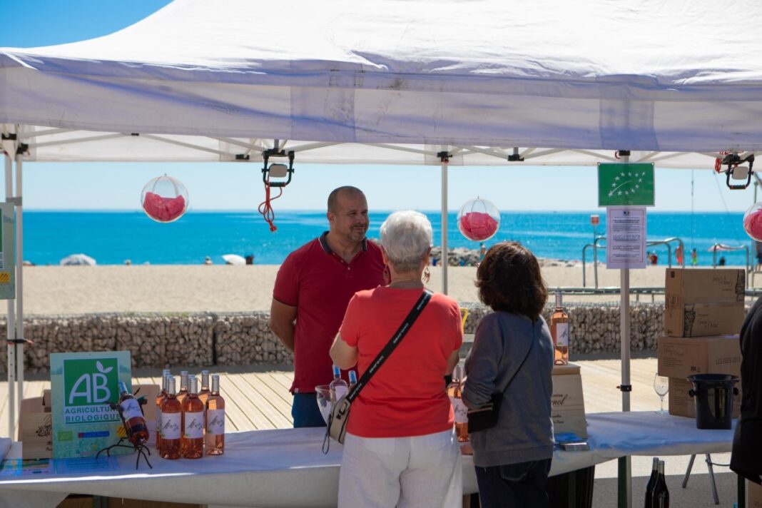 Osé, le Rosé en trois temps à Saint-Cyprien !