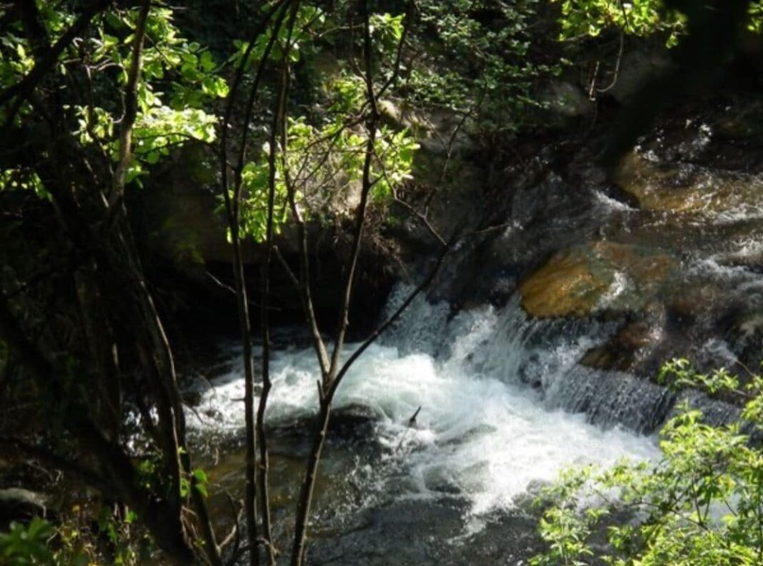 Sorède La Vallée Heureuse, un Tassio transparent comme de l'eau de roche !
