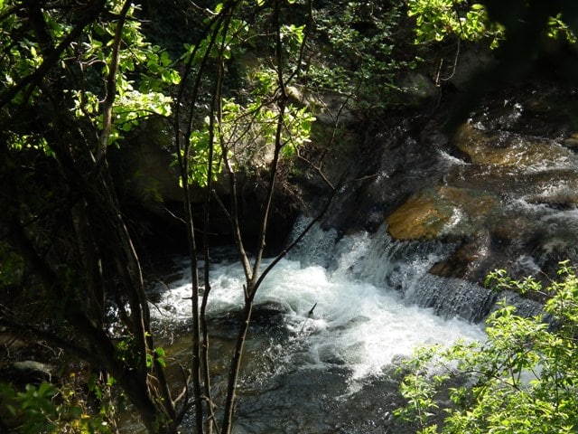 le Tassio