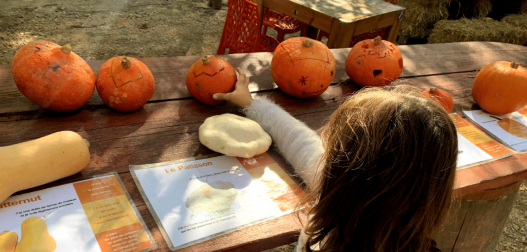 Besoins d'activités nature pour les vacances d'automne ? Pensez à la ferme de découverte Saint-André !