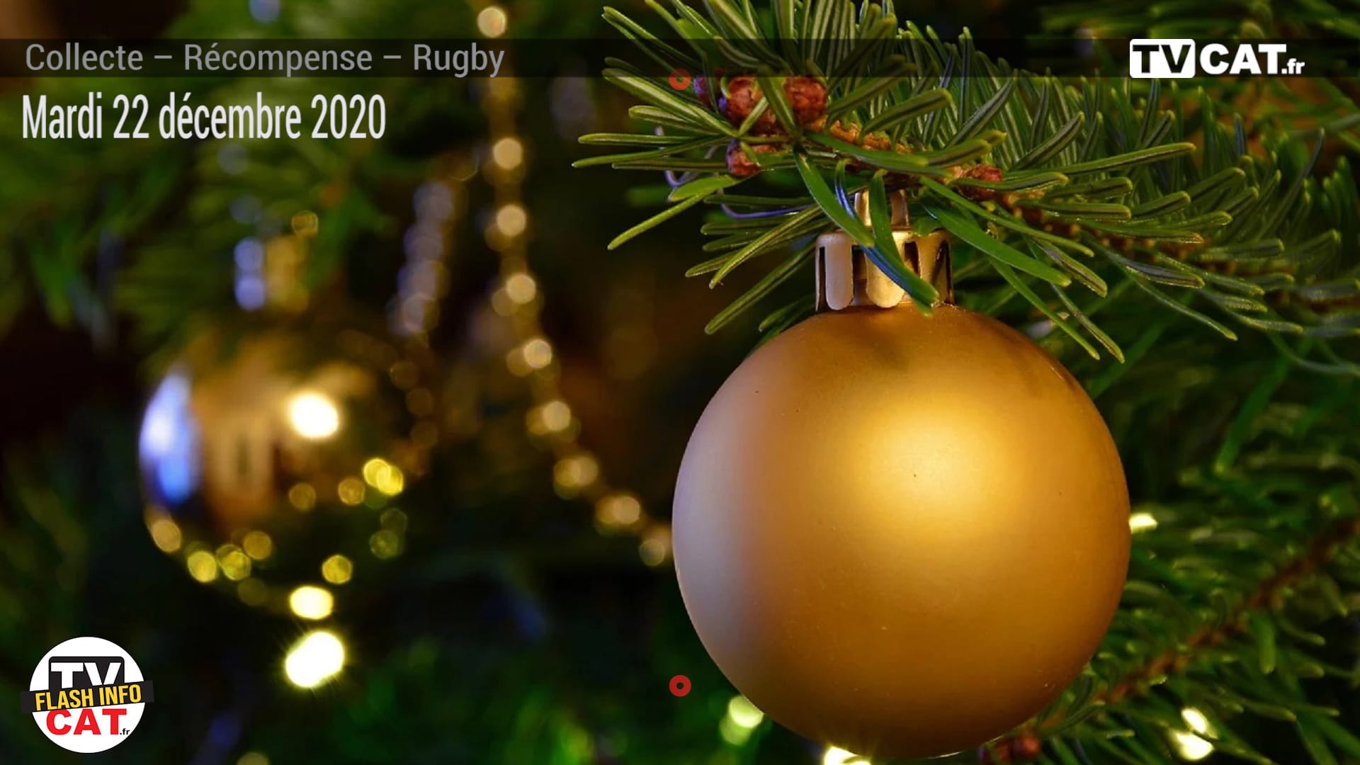 #334 Perpignan organise pour la troisième année la collecte de vos sapins – #Flashinfo #TVCAT
