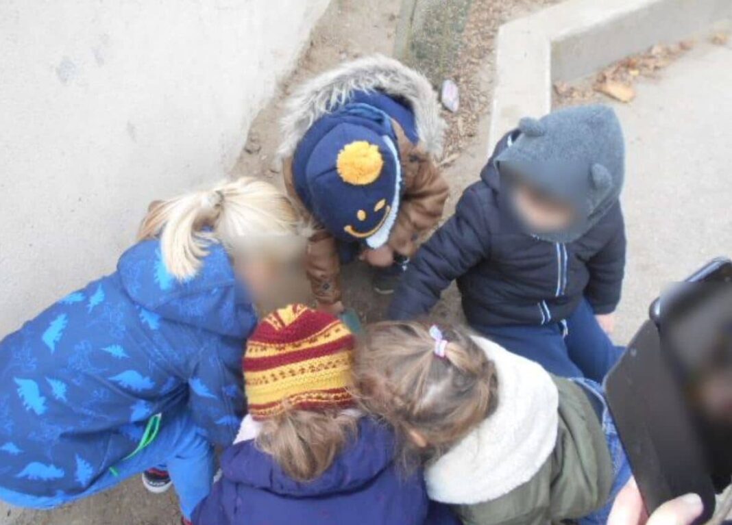 A Latour-de-France, les enfants plantent des arbres !2