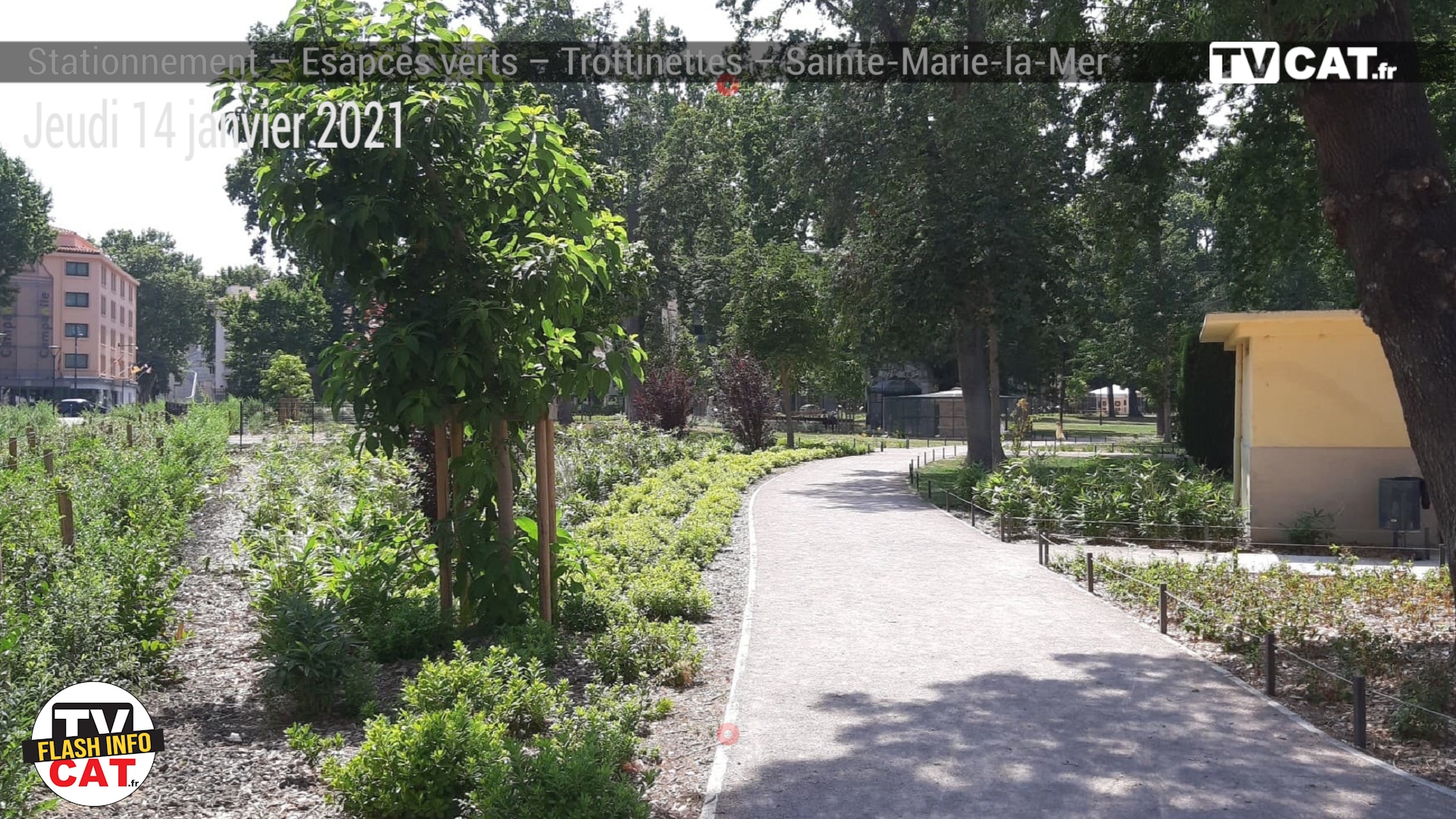 #345 À Perpignan, la Frene 66 dénonce un « massacre d’arbres » – #Flashinfo #TVCAT