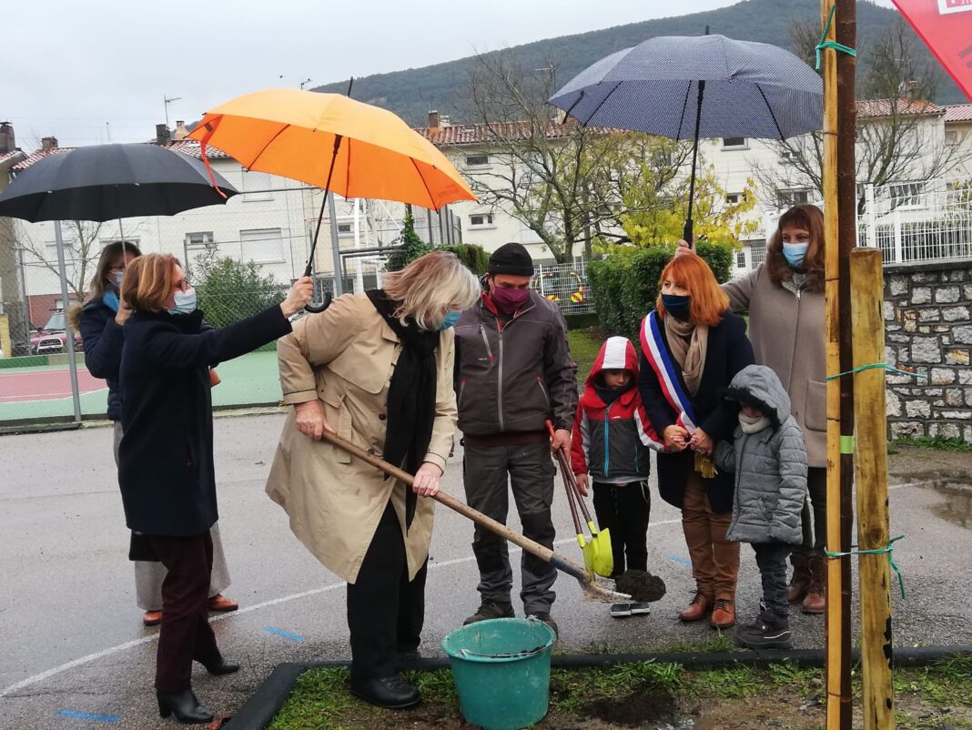 Caudiès-de-Fenouillèdes Plantation de l'arbre de la laïcité2