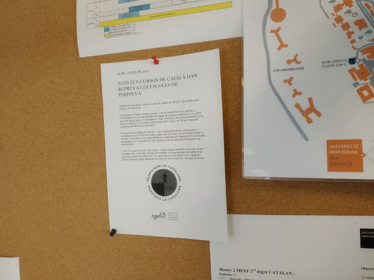 Tous les cours de catalan ont repris dans les écoles de Perpignan