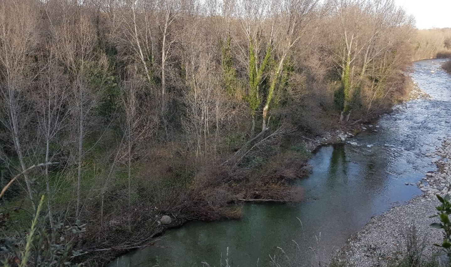 L’association Bien Vivre en Vallespir adresse une lettre ouverte aux élus de Céret
