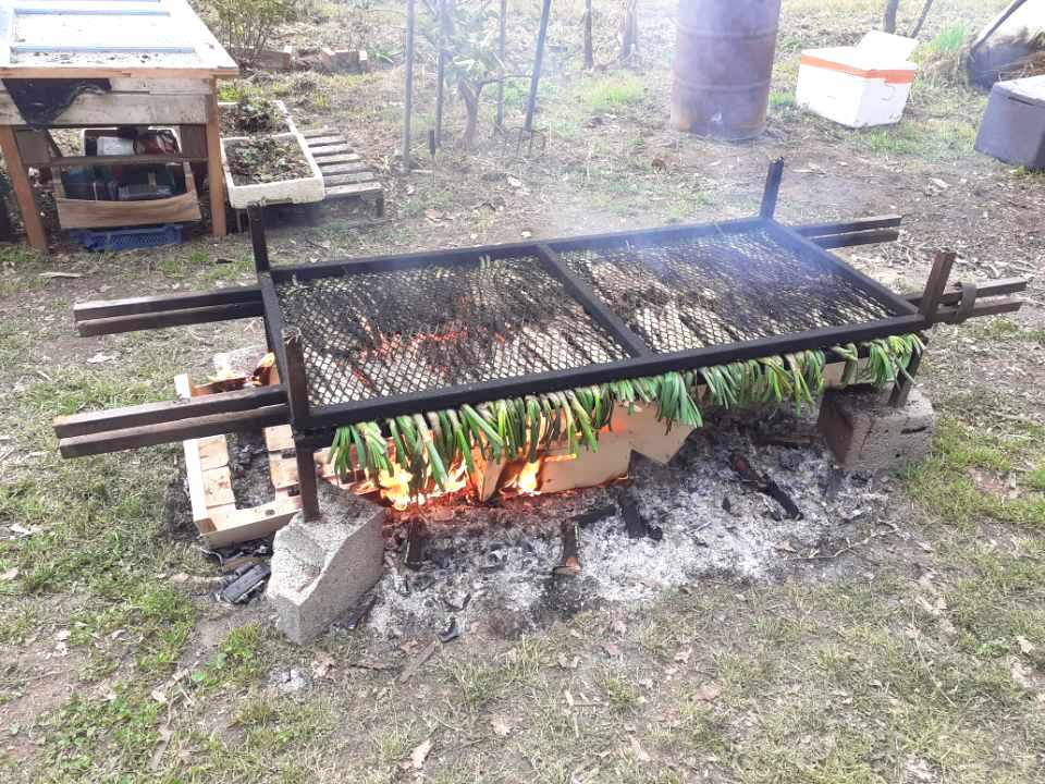 175 calçotades ont été distribuées ce dimanche 7 mars 2021 à Palau del Vidre