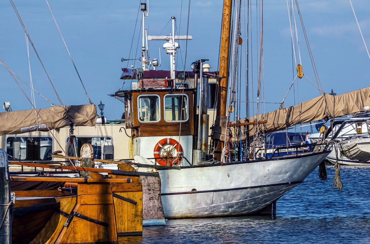Pour soutenir la pêche en Occitanie, la Région adopte un plan de 4 M€