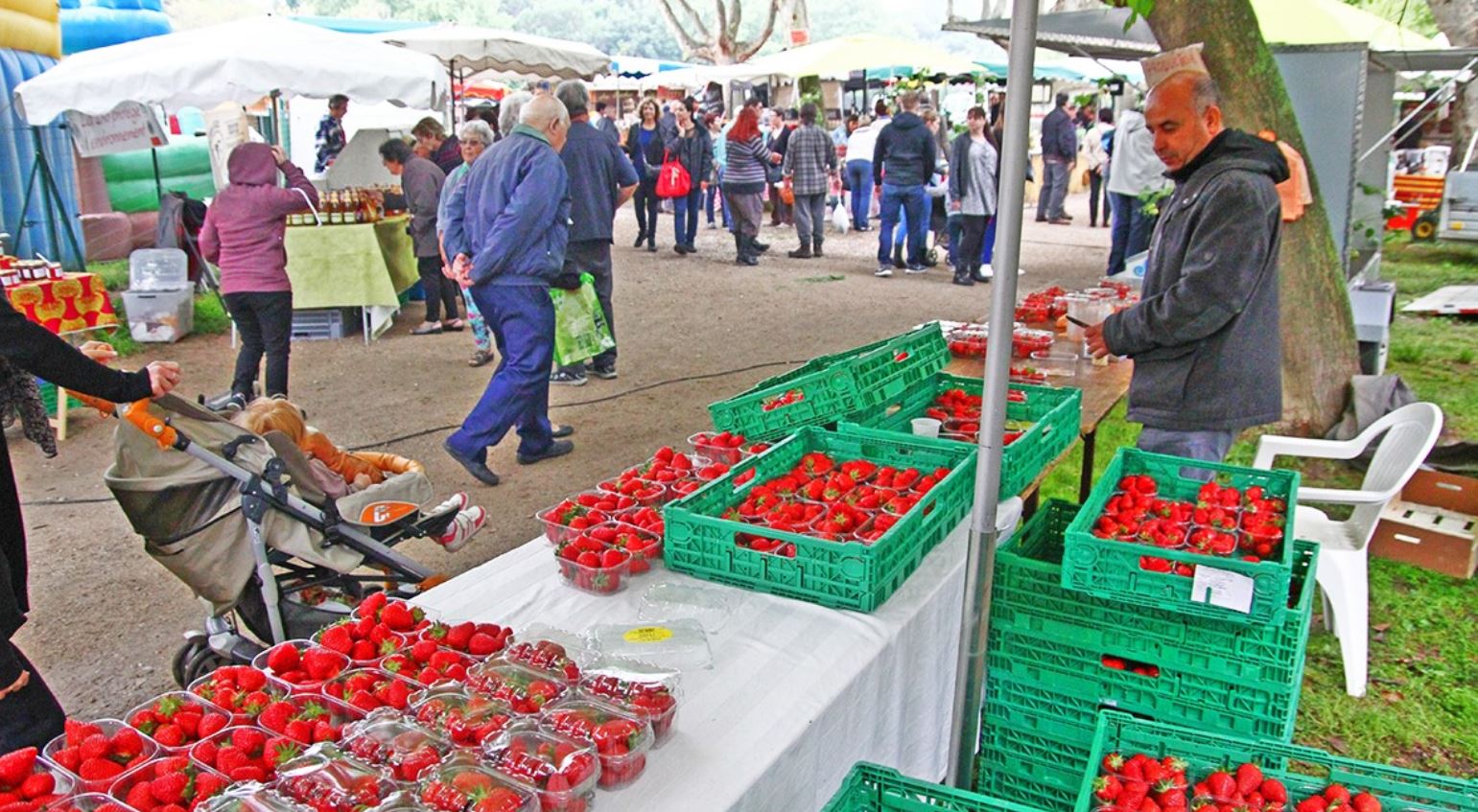 9ème fête de la Fraise au Lac du Moulin de la ville du Soler ce 25 avril
