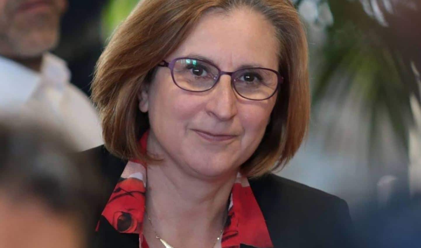 Hermeline Malherbe/ « Le projet d’aéroport d’Andorre serait néfaste pour notre territoire »