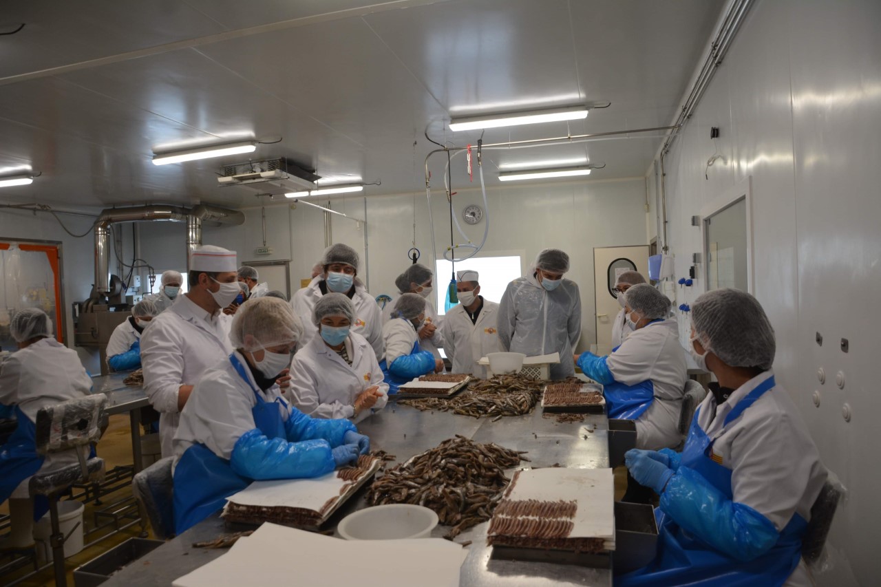 La Ministre de la Mer et la Présidente de la Région en visite officielle à Collioure