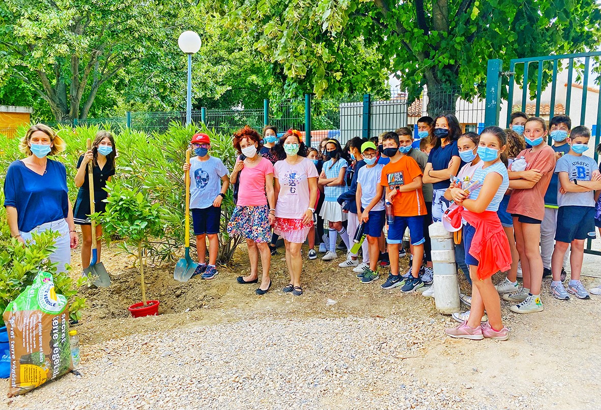 Deux orangers frères plantés au collège et au point jeunes du Soler pour symboliser le retour de la nature en ville