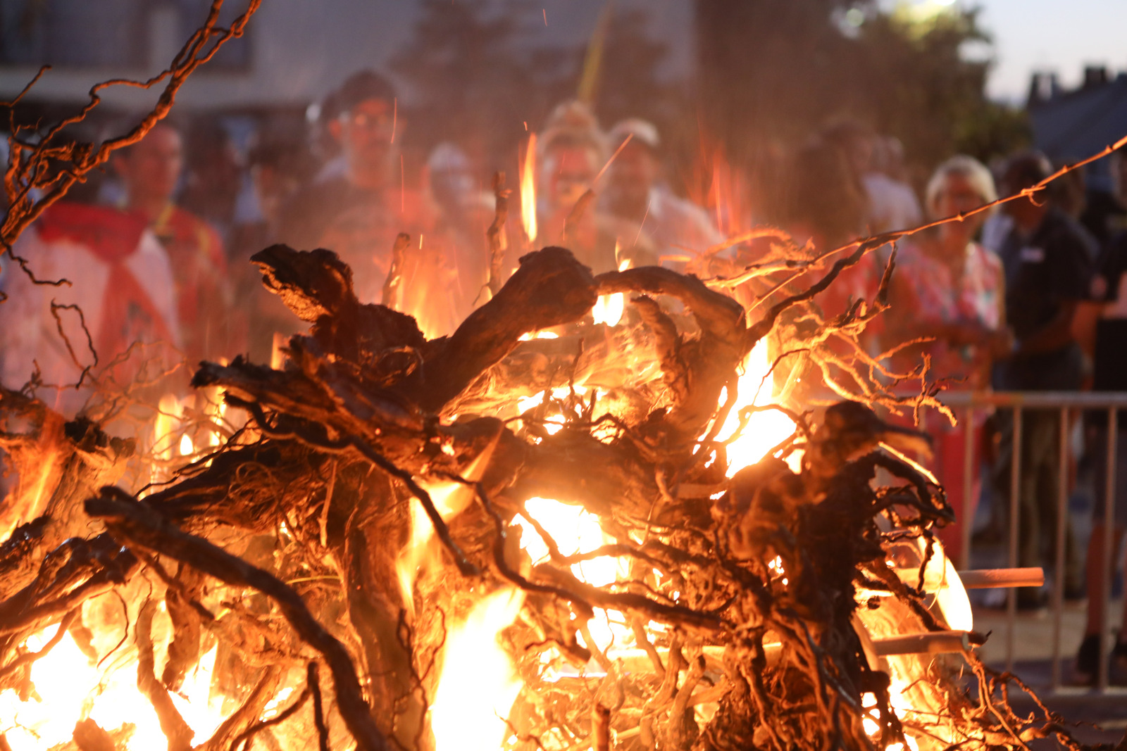 La programmation des activités de juin à Saint-Cyprien