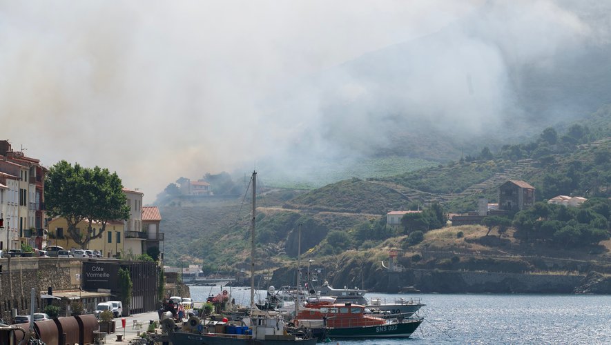 Port-Vendres : 50 hectares partis en fumée #TVCAT #FlashInfo