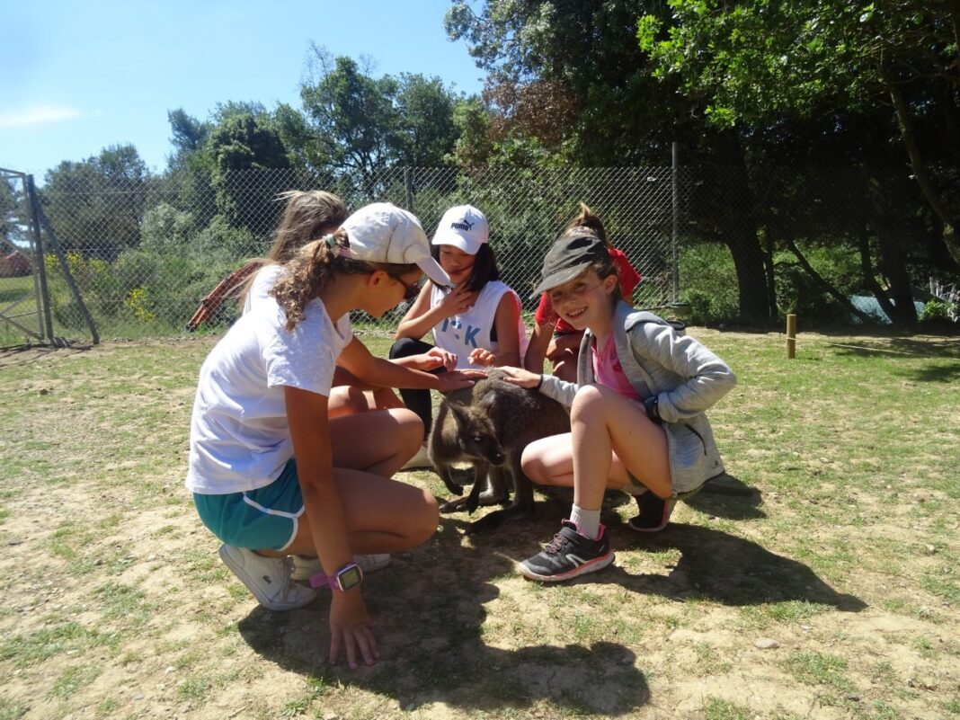 Les écoliers de CM2 en visite au Parc australien de Carcassonne