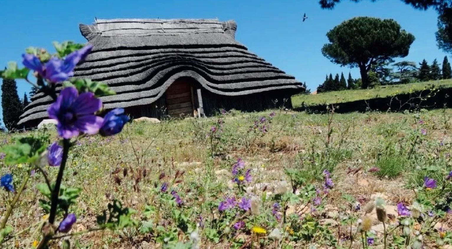 Soirées aux flambeaux à Ruscino