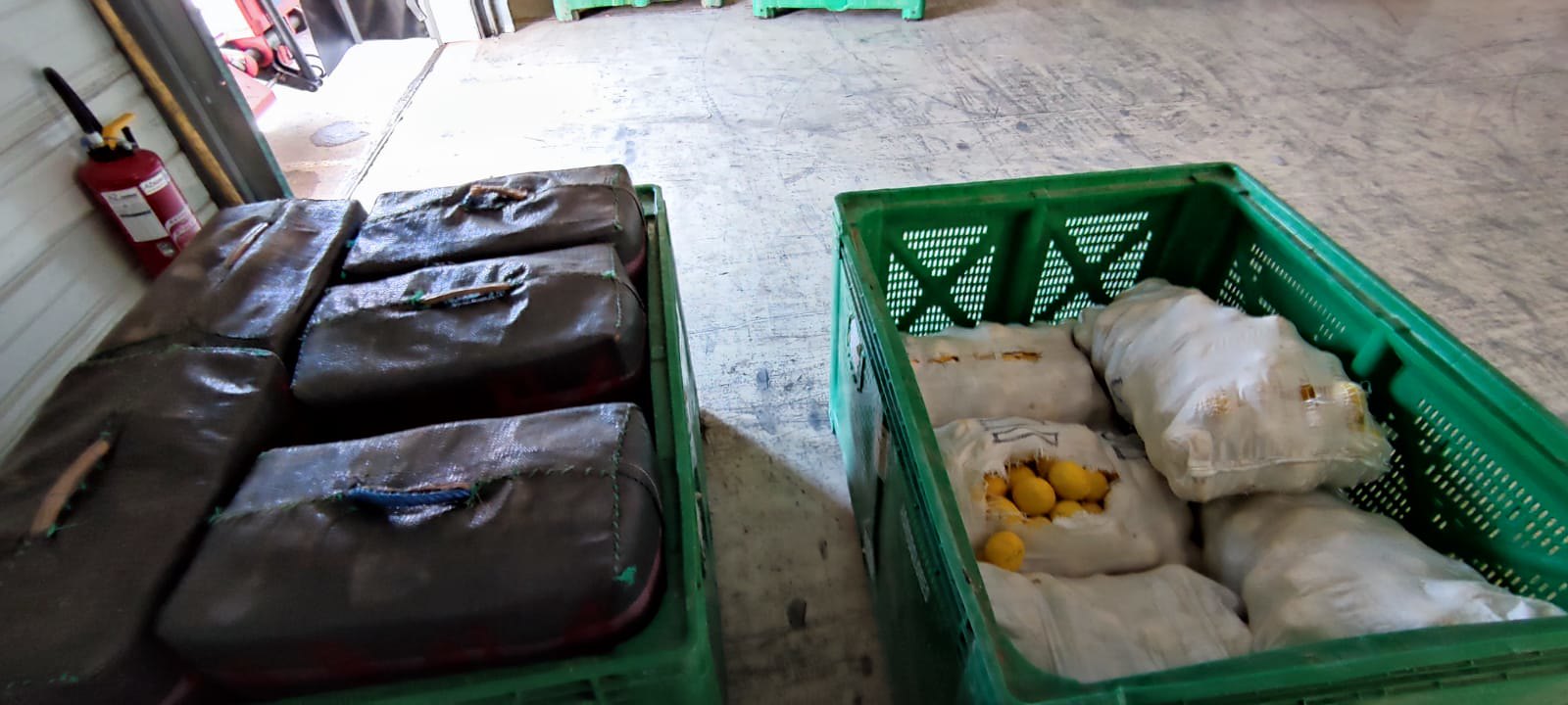 740 kg de résine de cannabis saisis par les douaniers du Perthus