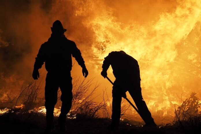 Foret incendie