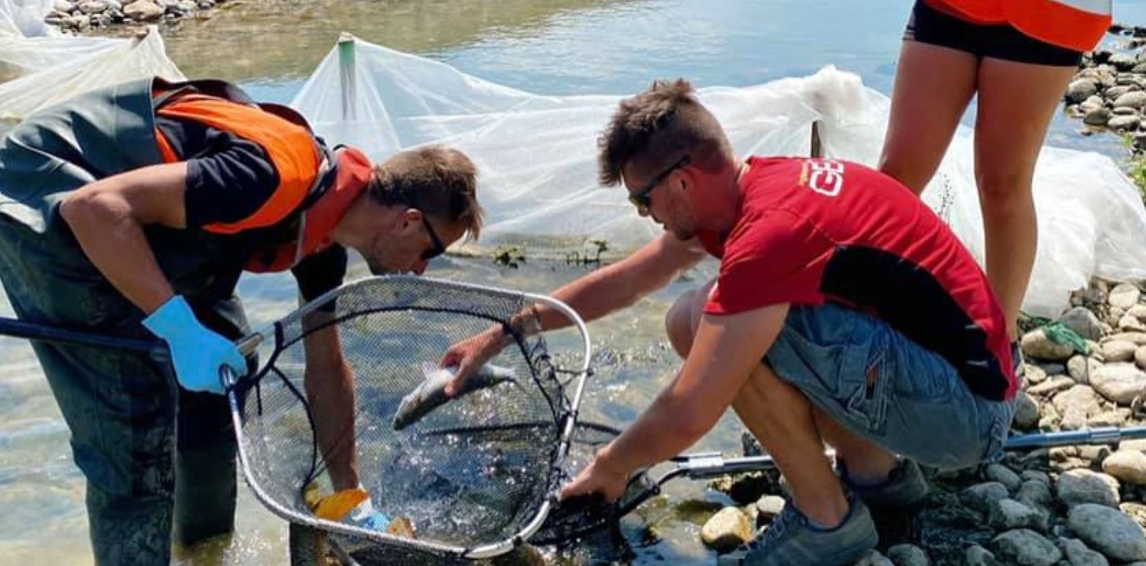 Rétablissement de la continuité écologique et valorisation des berges de la Têt