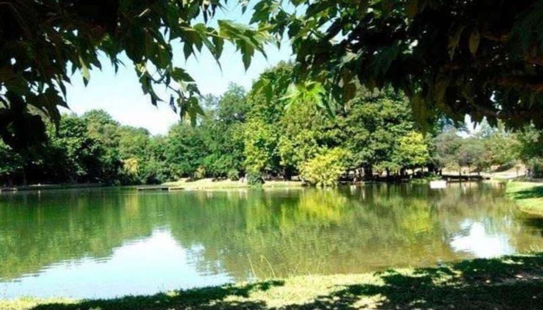 Deuxième édition du Marché d'Aquí au Soler : des produits d'exception des producteurs et créateurs locaux le 3 octobre au Lac du Moulin