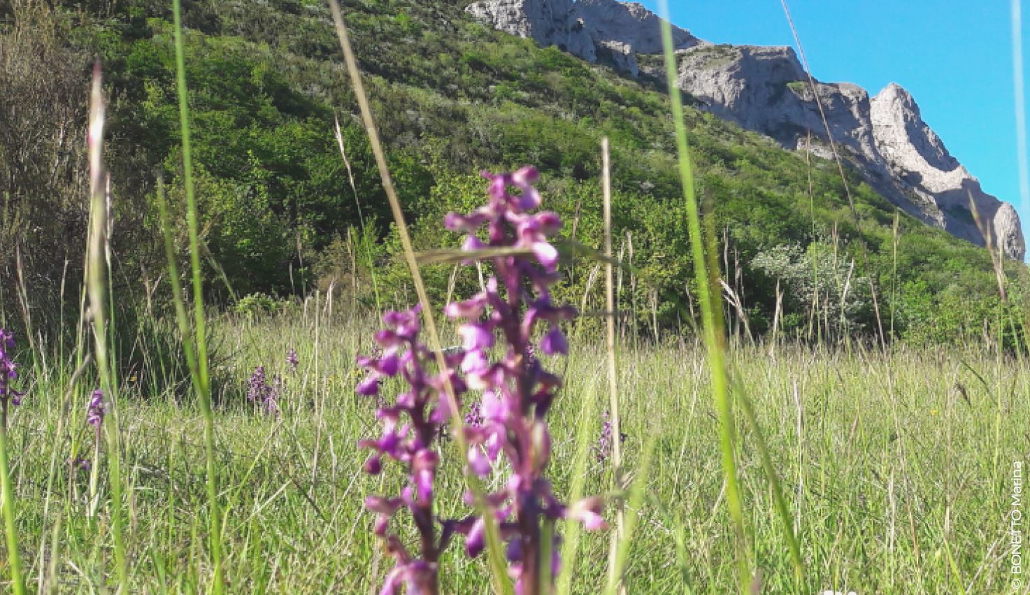 Avec les Corbières-Fenouillèdes, la famille des parcs naturels régionaux s’agrandit à nouveau