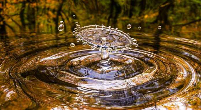 Pyrénées-Orientales : les réserves en eau toujours insuffisantes – Journée mondiale du nettoyage à Montesquieu #FlashInfo #TVCAT #LeJournalCatalan