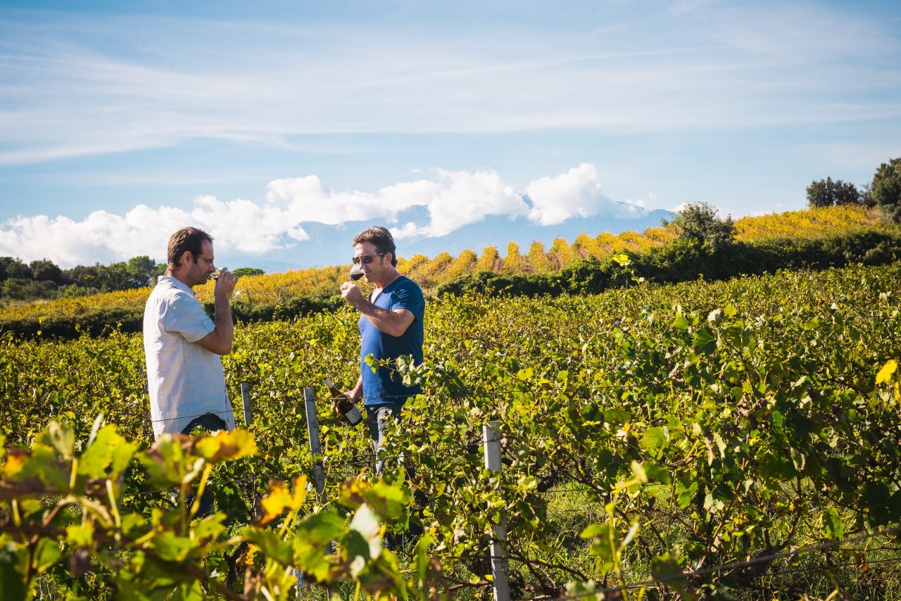 Lancement de l’édition 2021 de l’opération « Balades de Vignes en Caves »