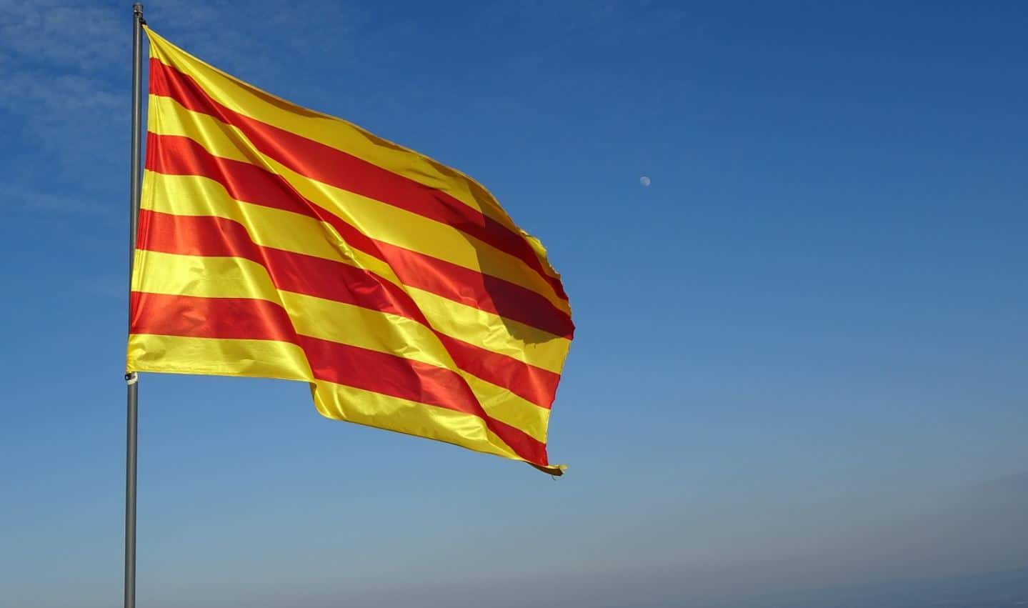 Langues régionales/ Pour valoriser l’occitan et le catalan, la Région mobilise les initiatives citoyennes pour Total Festum