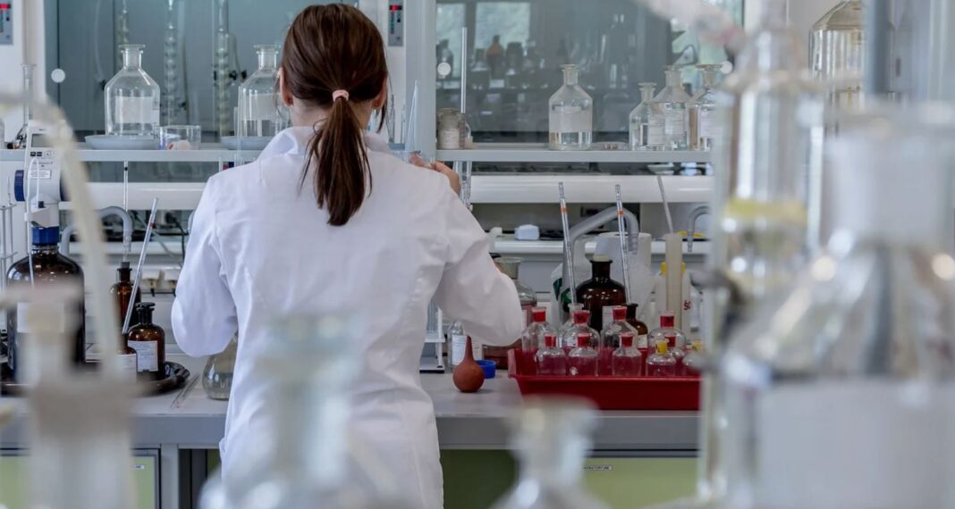De nouvelles avancées dans la recherche pour le vaccin contre la schistosomiase (Laboratoire Ihpe)