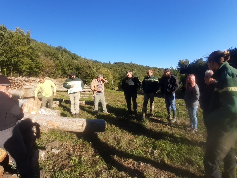 La forêt domaniale Ayguesbonne-Boucheville renouvèle son plan de gestion durable