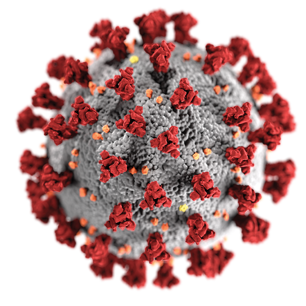 coronavirus-covid-19