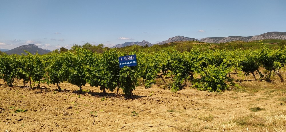 Mise à jour de Sig Gly, l’outil cartographique au service de la transmission du foncier agricole