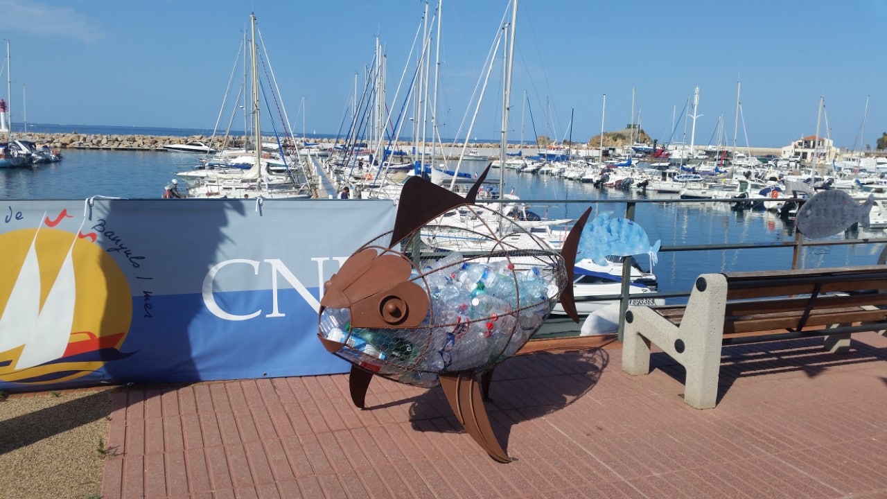 Cerbère et Banyuls/ Extension de la réserve marine : appel aux plaisanciers et aux sympathisants