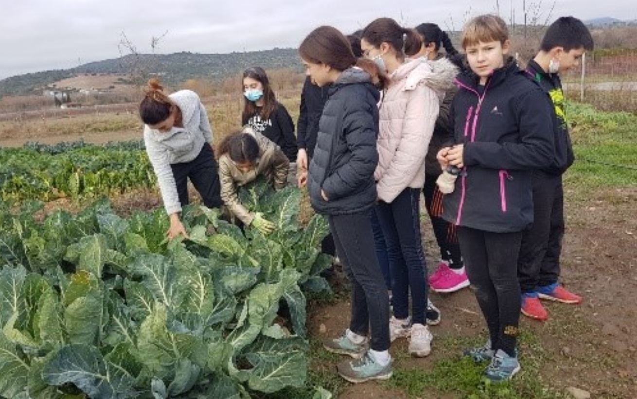 Vallée de l’Agly/ Plantons une double haie forestière à la ferme Sol i bio