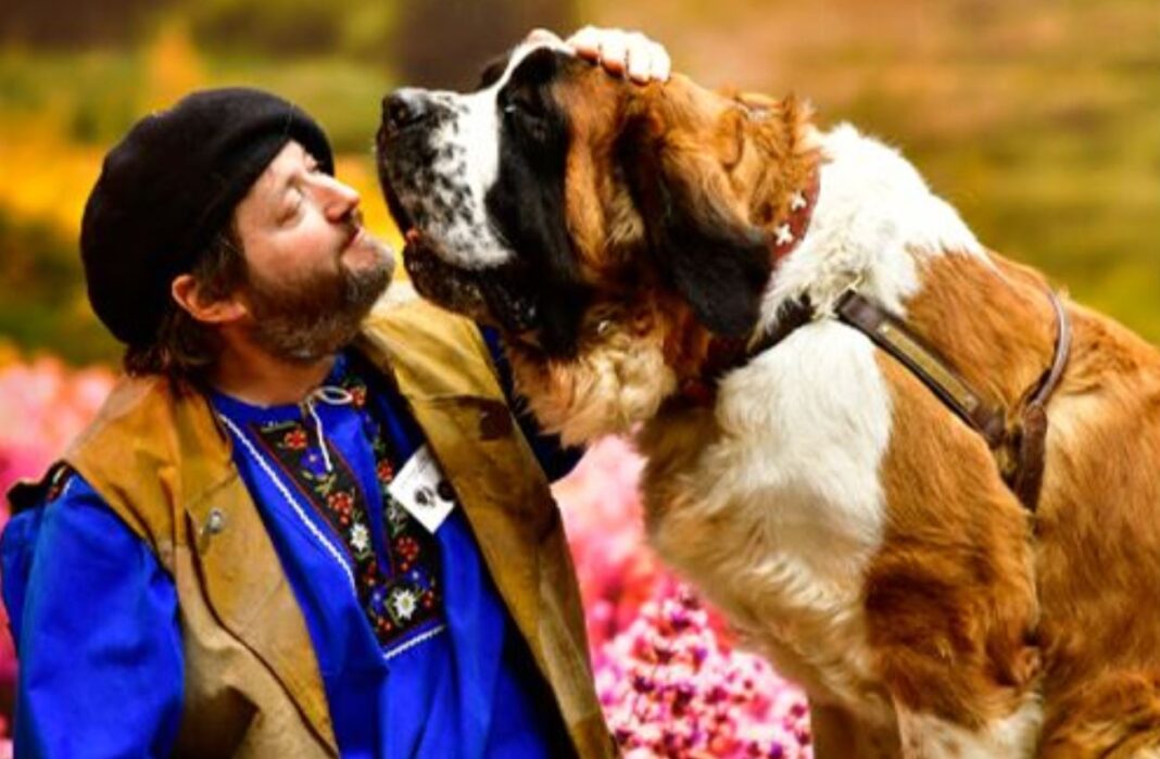 Les chiens d'Occitanie à l'honneur au Salon de l'Agriculture !
