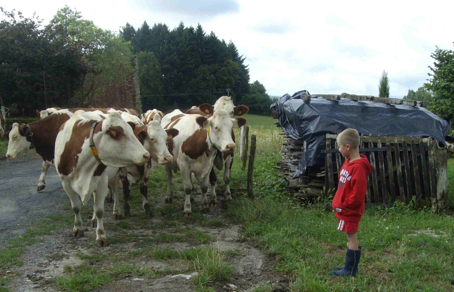 Association Louis Conlombant/ Recherche familles de vacances pour accueil d’enfants