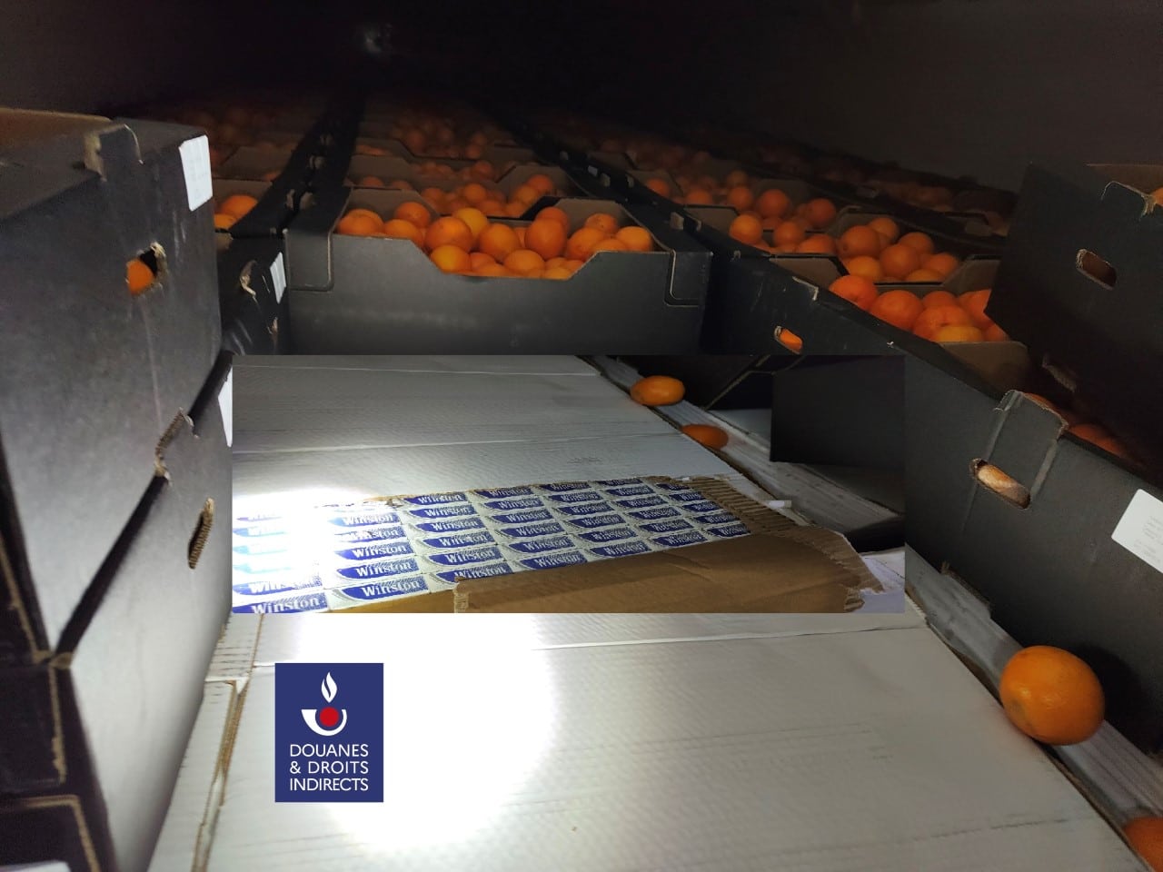 7,2 tonnes de cigarettes de contrebande saisies par les douanier de Perpignan