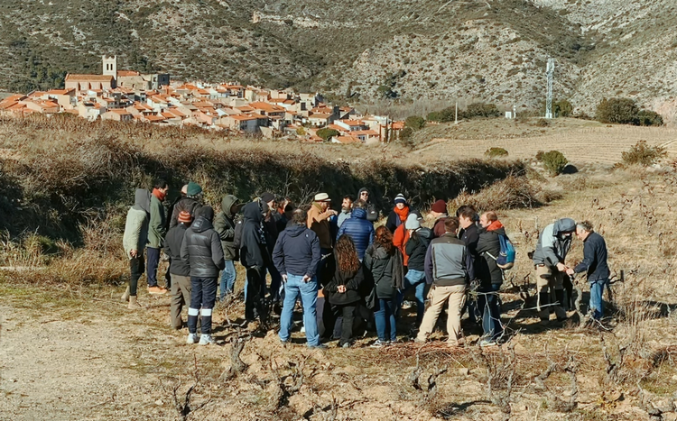 Vallée de l’Agly/ Skola, « Métiers de la vigne » : première rencontre en agroécologie !