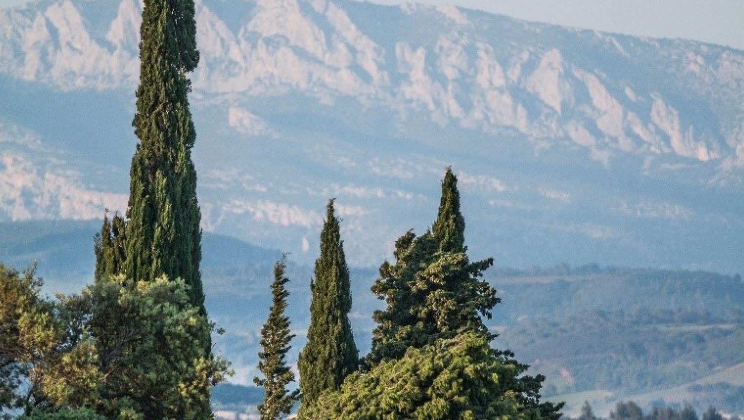 Vallée de l’Agly/ A l’Orée des forêts en Vallée de l’Agly