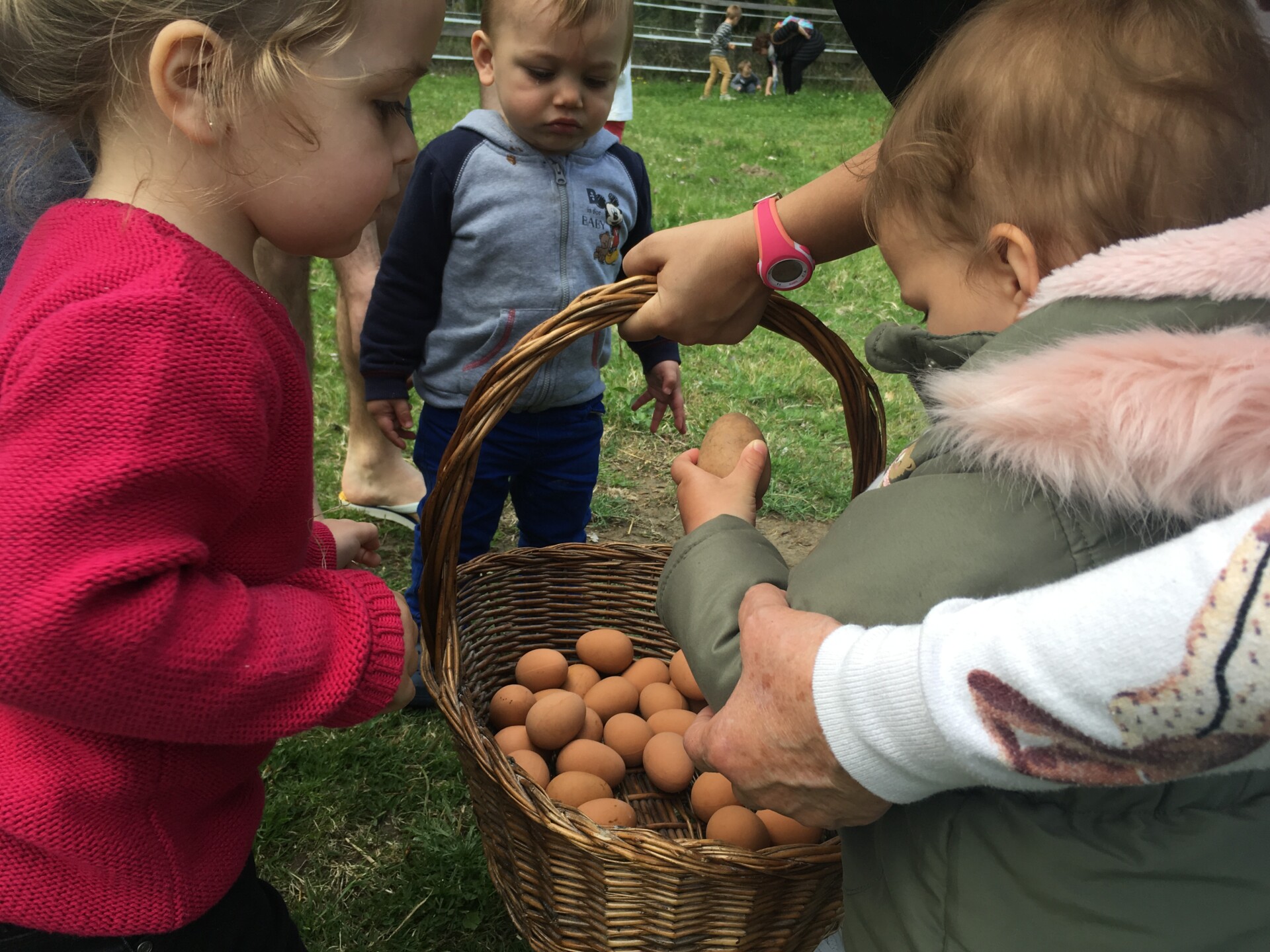 Chasse aux œufs et jeux de printemps à la ferme de découverte Saint-André !