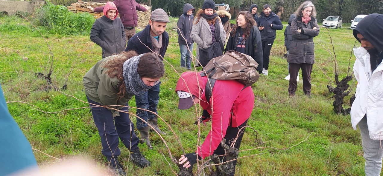 Vallée de l’Agly/ Skola « Métiers de la vigne » : troisième rencontre en agroécologie !