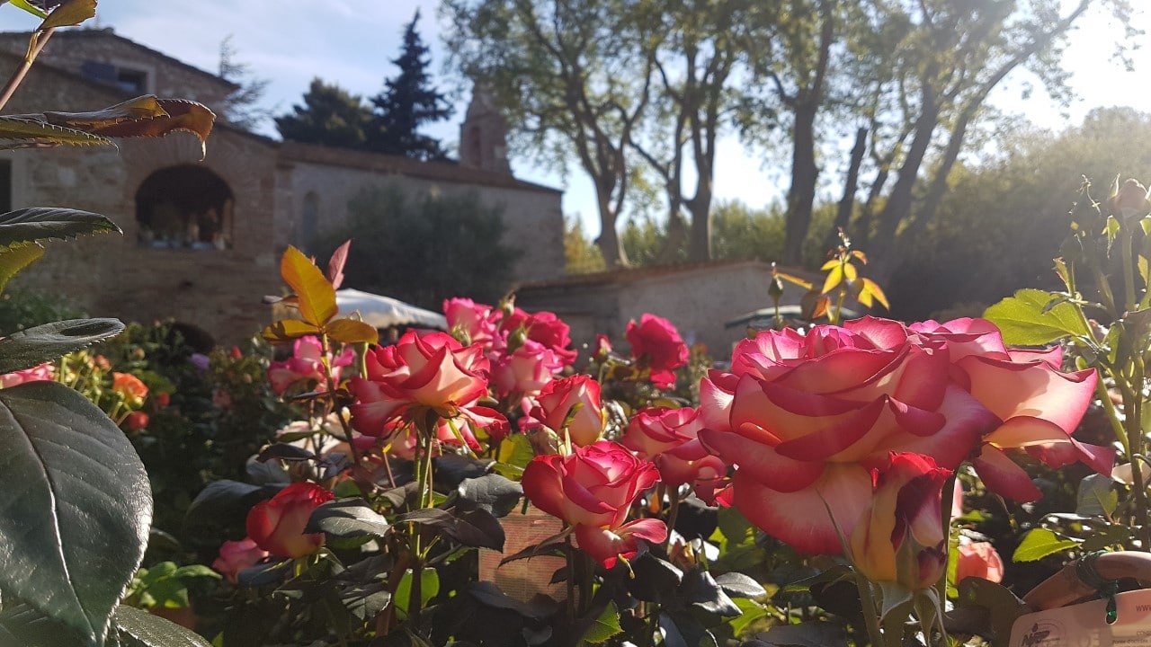 Floralies de Juhègues à Torreilles