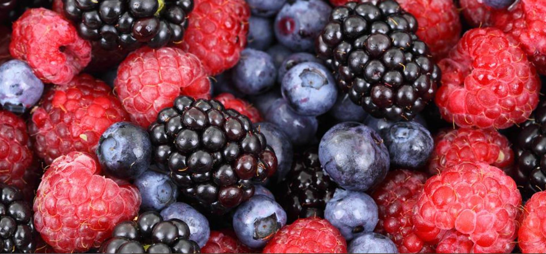 100 marques alimentaires françaises vont « embarquer » dans une capsule temporelle