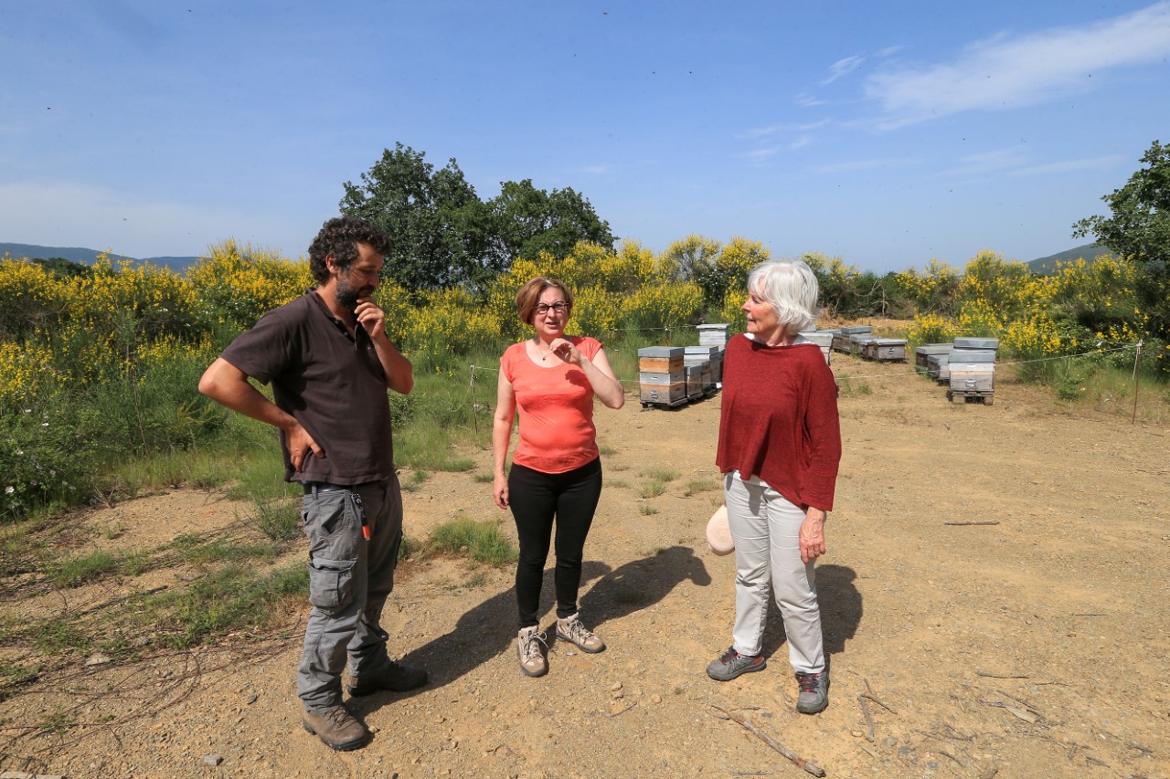 Hermeline Malherbe en visite chez un apiculteur à l’occasion de la Journée mondiale des abeilles