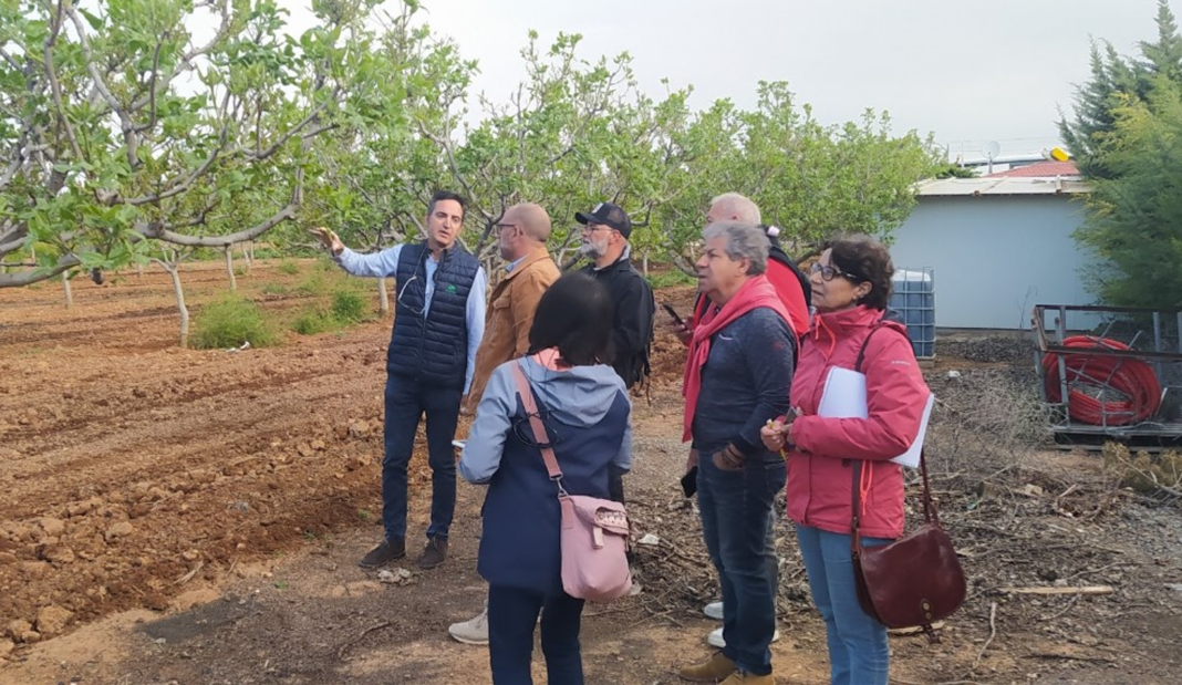 La pistache : une production agricole d’avenir pour la vallée de l’Agly ?