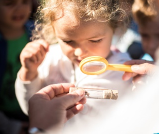 L'Ecole d'été revient à Argelès-sur-Mer avec beaucoup de nouveautés
