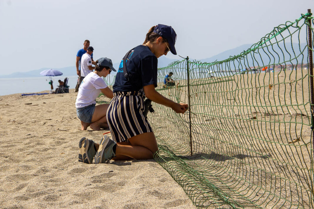 Environnement : Sur le Littoral, les acteurs se mobilisent pour protéger les 