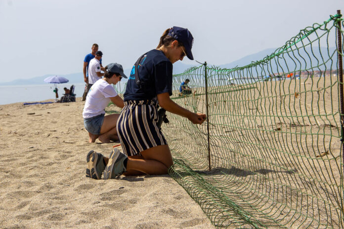 Environnement : Sur le Littoral, les acteurs se mobilisent pour protéger les 